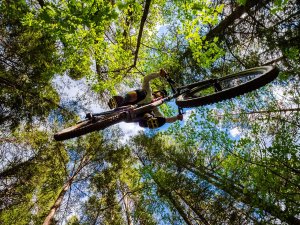 biking-in-golden-jump